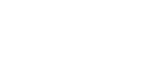 White Logo White Logo